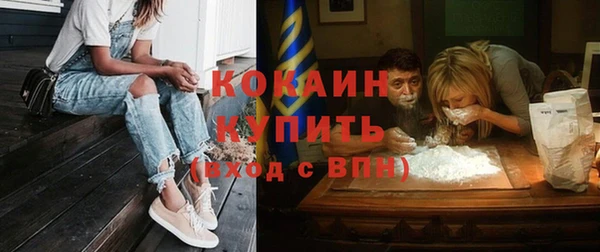 ешки Сафоново