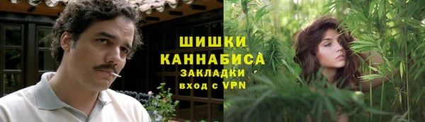 гашик Алексин