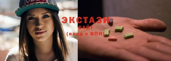 гашик Алексин