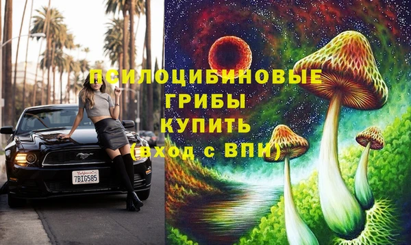 гашик Алексин