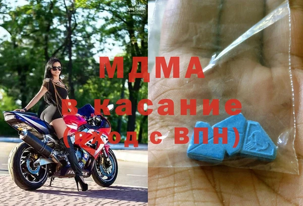 гашик Алексин