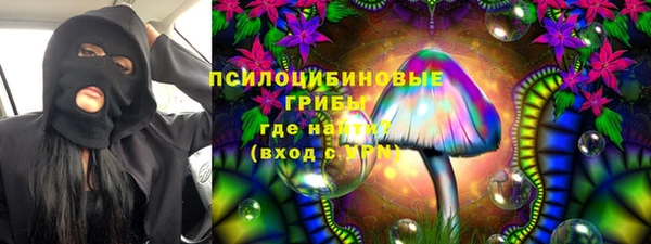гашик Алексин