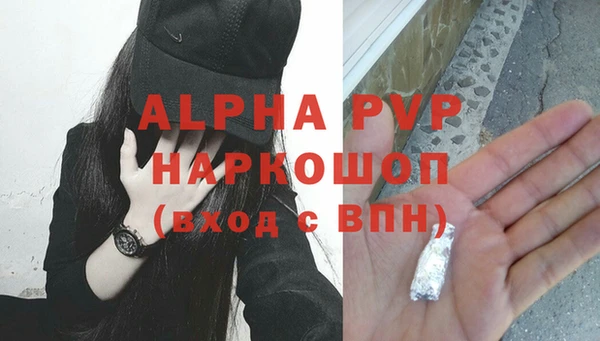 гашик Алексин