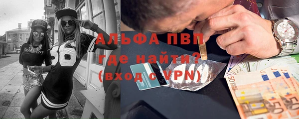 гашик Алексин