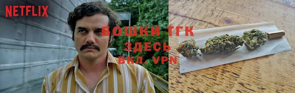гашик Алексин